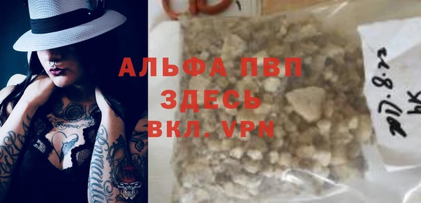 хмурый Алексин