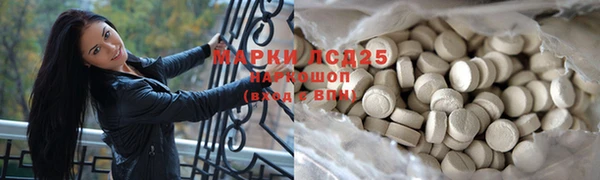 хмурый Алексин