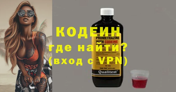 хмурый Алексин