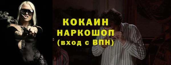 хмурый Алексин