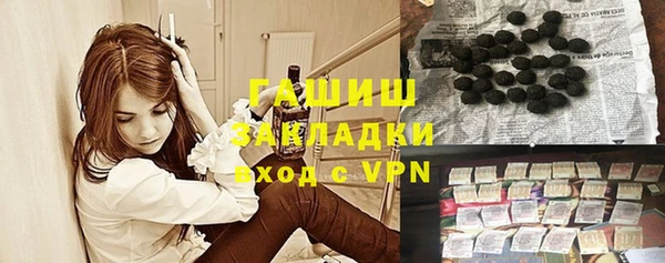 хмурый Алексин
